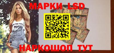 PSILOCYBIN Конаково