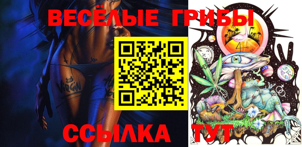 Псилоцибиновые грибы Psilocybe Кропоткин
