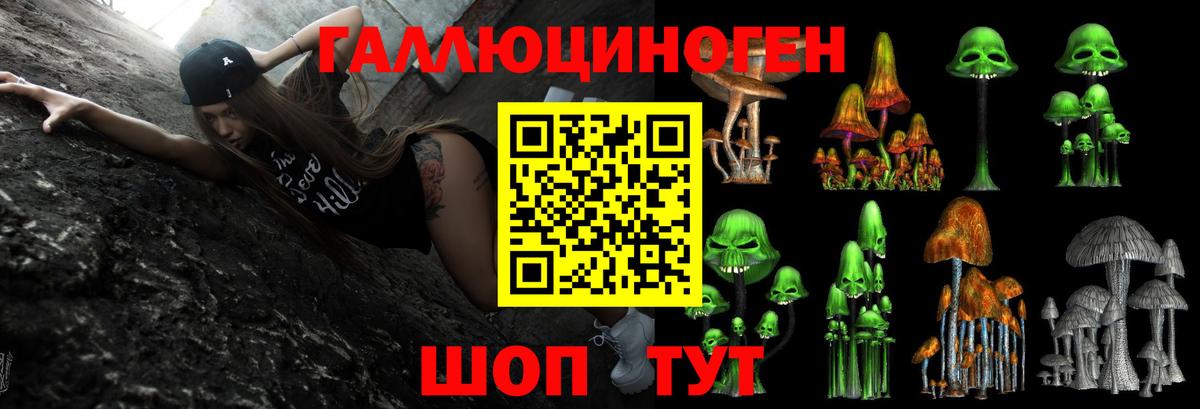 Галлюциногенные грибы GOLDEN TEACHER  Галлюциногенные грибы Psilocybine cubensis  Вход с VPN  Кропоткин 